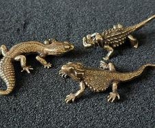 3 brass lizards.