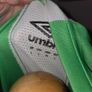 FAI Ireland Jersey - Large size Image 4
