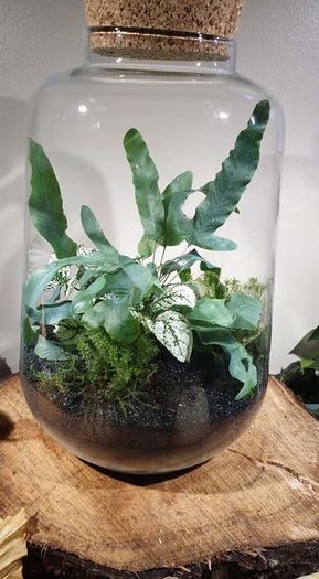 Lantern medium - dark H32 x W20 cm