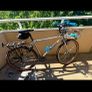 giant bike. Image 2