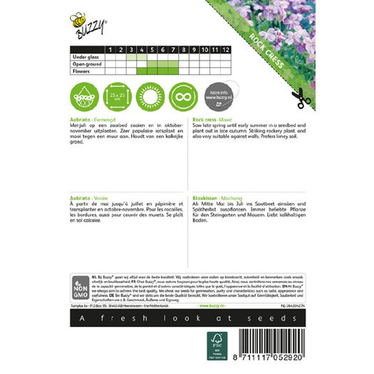 Buzzy Aubrieta Grandiflora mixed seeds 0.15g | Sow in July