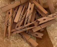 Clothes pegs (24)