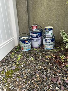 Paint
