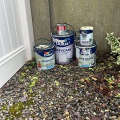Paint