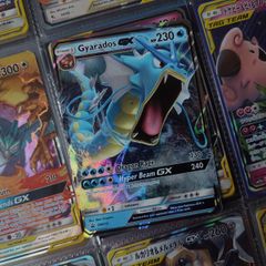 Gyarados GX ! Promo from Sun & Moon Era ! 2019 ! Pokemon Card !