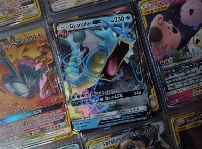 Gyarados GX ! Promo from Sun & Moon Era ! 2019 ! Pokemon Card !