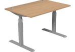 Leap Electric Height Adjustable Sit Stand Desk