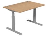 Leap Electric Height Adjustable Sit Stand Desk