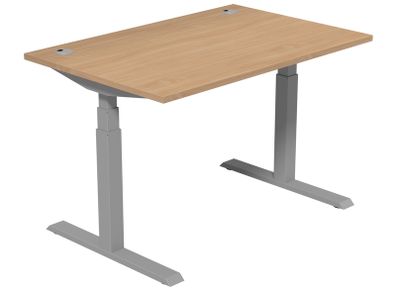 Leap Electric Height Adjustable Sit Stand Desk