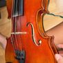 Violin Image 6