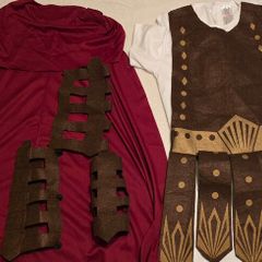 Cool Roman soldier costume 7-8 y. Includes cape and some leg and arms pieces.
