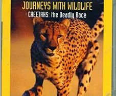 National Geographic Journeys with Wildlife Cheetahs: the Deadly Race DVD BRAND NEW & SEALED