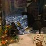 fish tank aquarium Image 5