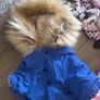 dog clothes Image 9
