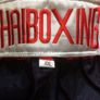 Muay Thai Boxing Image 5