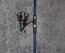fishing rod