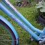 Ladies Bicycle Image 4