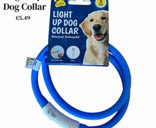 Light Up Dog Collar