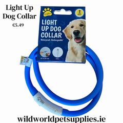 Light Up Dog Collar