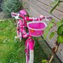 child's bike Image 2