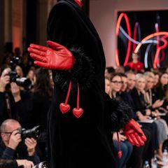 gloves