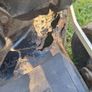 MacAllister Lawn Mower Image 4