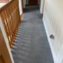 Carpet Image 2