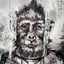 Cryptowise Primates, Hodl, Halve, Hope Image 4