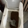 cat items Image 3