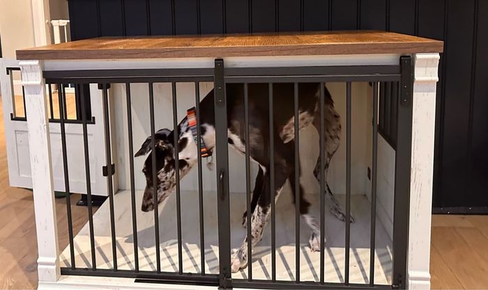 Large Dog Crate