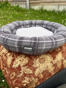 cat bed