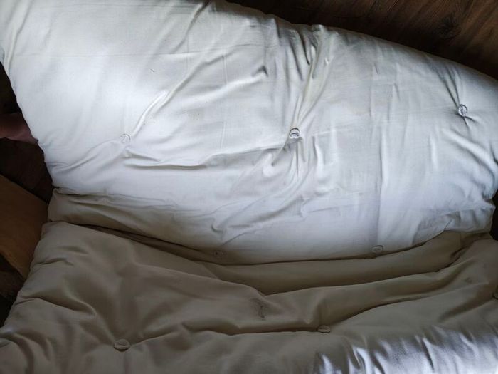 free futon mattress only