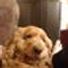 philip.mcloughlin.77