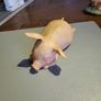 Pig ornament Image 7