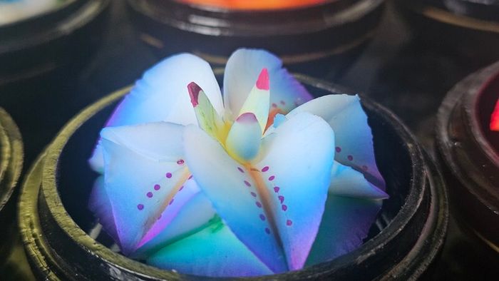 Beautiful Handmade Soap Flowers from Thailand Unique Christmas Gift  20 euro EACH
