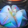 Beautiful Handmade Soap Flowers from Thailand Unique Christmas Gift  20 euro EACH Image 9