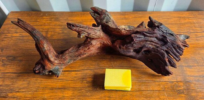 Large Bogwood