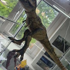 Mattel Jurassic World Jurassic Park Hammond Collection Tyrannosaurus Rex Dinosaur Figure, 24in Long with 14 Movable Joints, Movie Collectible