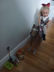 Toy