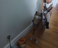 Toy