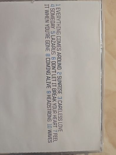 The Devlins CD - Waves