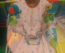 Baby bouncer