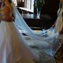Stunning Wedding Dress Image 5