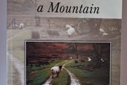 We Lived with a Mountain / John McGourty / 1st ed. 2003