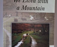We Lived with a Mountain / John McGourty / 1st ed. 2003