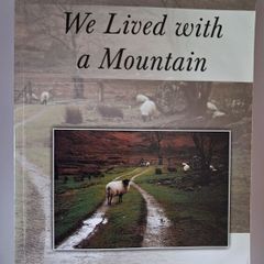 We Lived with a Mountain / John McGourty / 1st ed. 2003