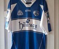 Vintage Laois GAA home 2006 jersey Azzurri