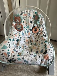 Baby Bouncer
