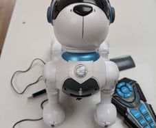 Ziggy the Robo Dog (