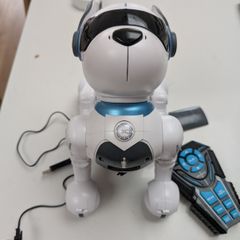 Ziggy the Robo Dog (